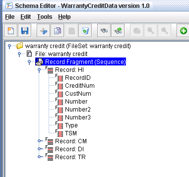 EXTOL EBI Flat File Schema record fragment screenshot